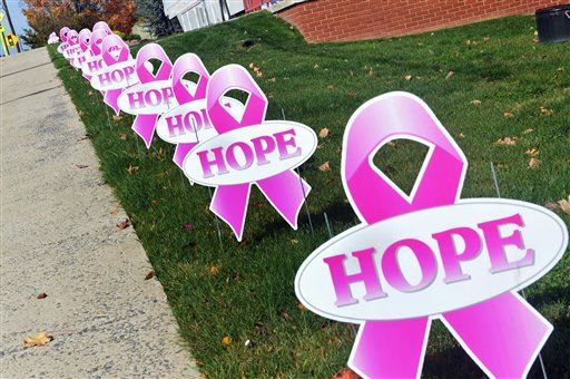 Utah Girl, 8, Is Fighting Breast Cancer