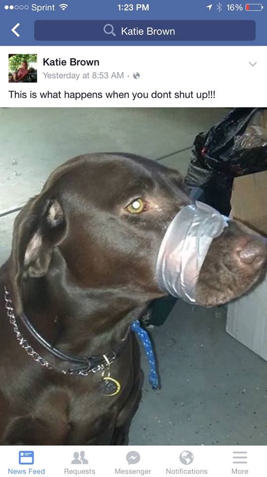 Woman Who Duct-Taped Dog Tracked Down
