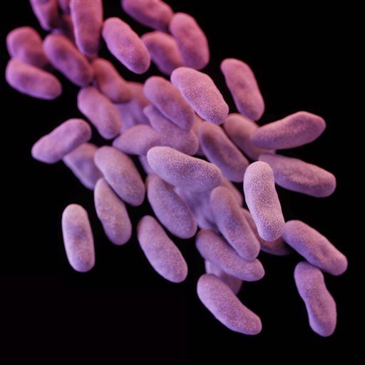 'Phantom Menace' Superbug Has Alarming Ability