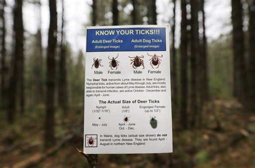 As Ticks Spread Like Wildfire, Lyme Disease Triples