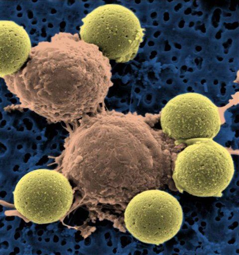 Cancer Treatment Yields 'Unprecedented' Results