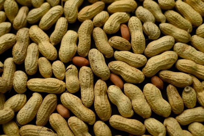 Key to Preventing Peanut Allergies Is ... Peanuts