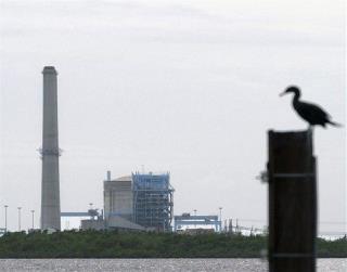 Florida Nuclear Power Plant Is Leaking Radiation Into the Ocean