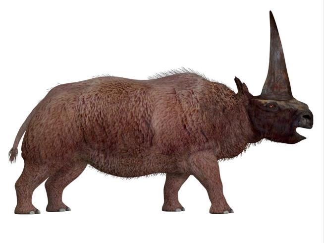 Humans and 'Unicorns' May Have Coexisted