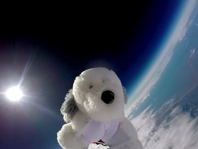 Sam the Dog Got to Space, Now He Needs Help Getting Home