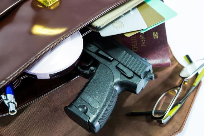 2-Year-Old Fatally Finds a Gun in Mom's Purse