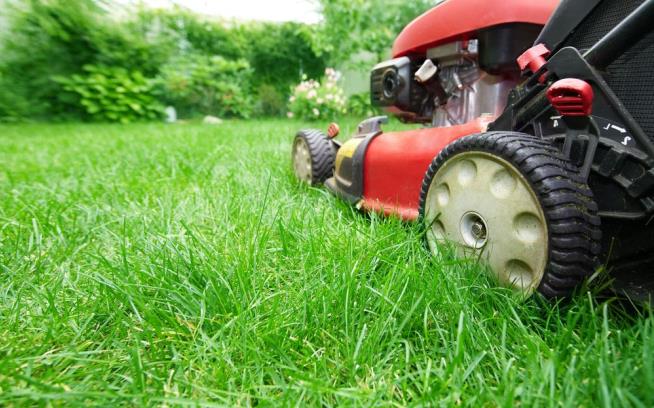 Man, 87, Faints While Mowing, So EMT Finishes for Him