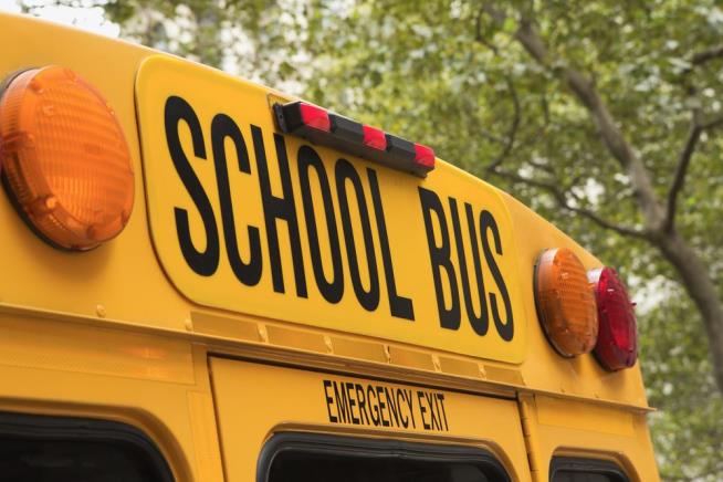Cops: Bus Driver Asked Child to Move Downed Power Line
