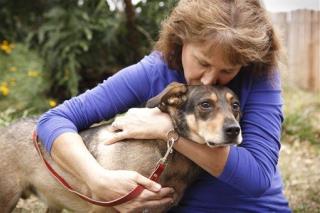 Science: Your Dog Hates Being Hugged