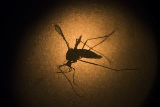 House Approves Controversial Zika Bill