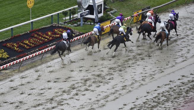 2 Horses Die, Jockey Injured in Early Preakness Day Races