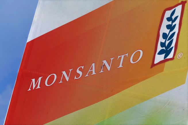 4 Things to Know About the $62B Bid for Monsanto