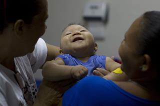 Zika Moms Face 'Substantial' Risk for Birth Defects