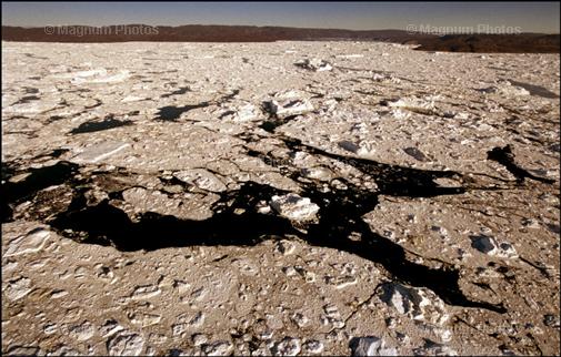 Huge New Cracks Seen in Arctic Ice Shelf