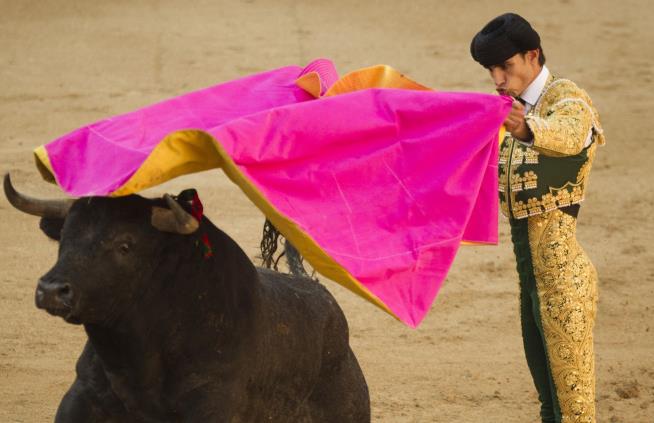 Bullfighter Gored to Death on Live TV