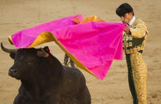 Bullfighter Gored to Death on Live TV