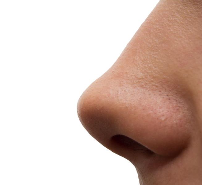 Cure for Deadly 'Superbug' May be Hiding in Our Noses