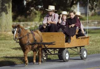 Here's Why Amish Kids Don't Get Asthma as Often