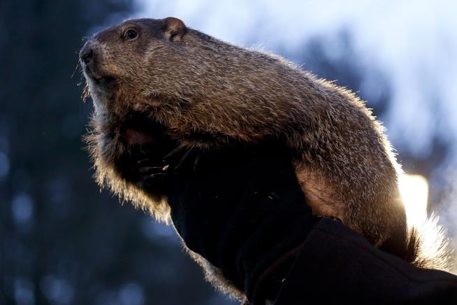 Cops Accused of Running Down Groundhog With Golf Cart