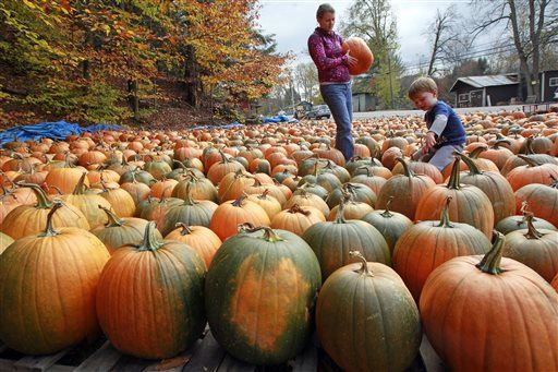 Brewers Are Scrambling to Get Pumpkin for Fall Beers