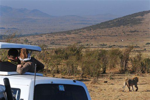 Safari Guide Kills Tourist for Picking Wrong Seat: Cops