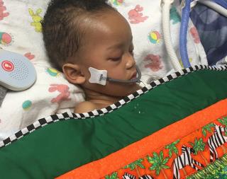 After Months of Fighting, Toddler Abruptly Taken Off Life Support