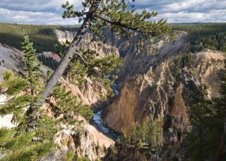 Worker Dies After Falling Into Yellowstone Canyon