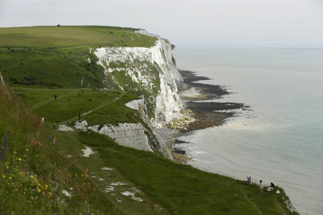 In Algae, a Key to White Cliffs of Dover
