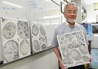 'Self-Eating' Cells Nab Medicine Nobel for Japanese Scientist