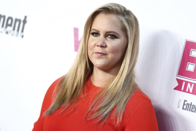 Amy Schumer Rubs Trump Fans Wrong Way at Show