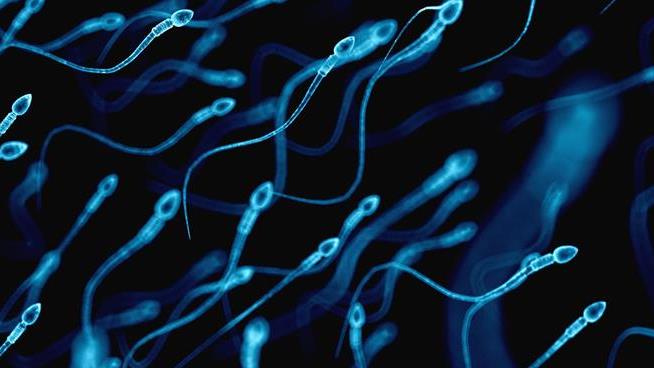 New Vision for Male Birth Control: Don't Let Sperm Swim