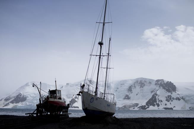 Vast Marine Reserve Created Off Antarctica