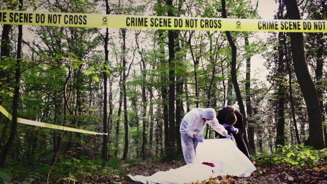 'Necrobiome' Could Change the Game for Forensic Scientists
