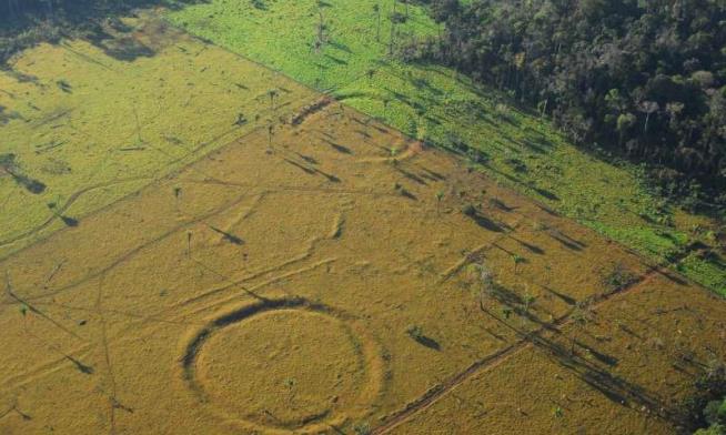 Drones Find Hundreds of Stonehenge-Like Spots in Amazon
