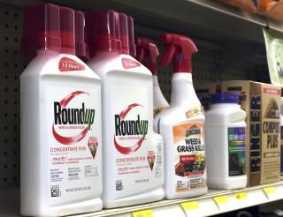 Monsanto Under Fire Over Alleged Risks of Roundup