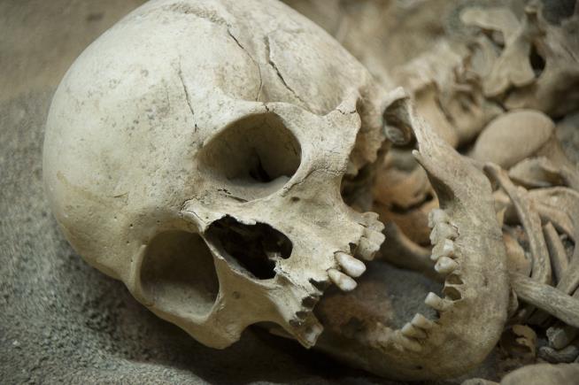 Spanish Cave-Dwellers Turned to Cannibalism 10K Years Ago