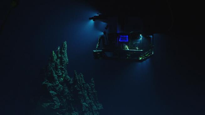 Evidence of Deepest Life on Earth Found Near Mariana Trench