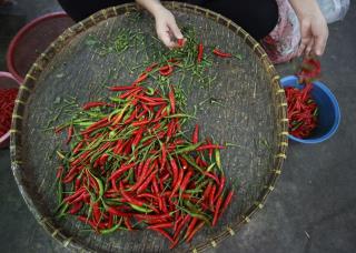 Chili Pepper, Pot May Fix Your Ailing Stomach