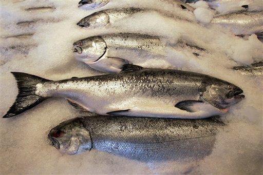 Alaskan Salmon Sick of Climate Change