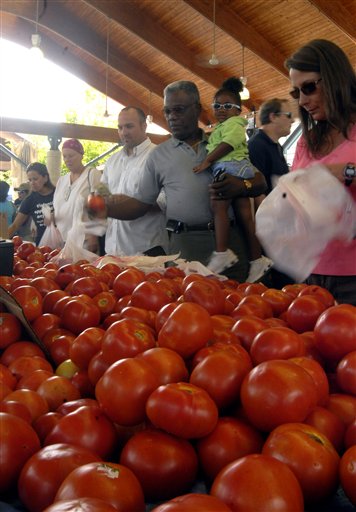 Are Tomatoes From Local Farms Safer?
