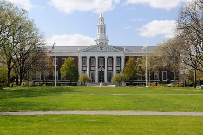 Harvard Students Booted For 'Offensive' Posts