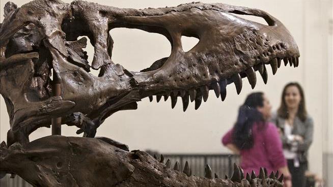 In Scales vs. Feathers Dino Debate, Some New Evidence