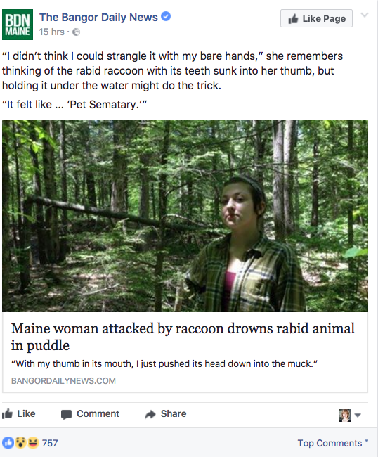 Maine Woman Drowns Rabid Raccoon With Bare Hands