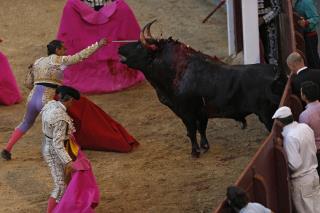 Bullfighter Trips Over Cloak, Fatally
