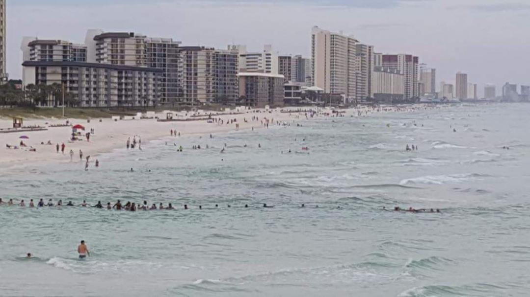 Amazing Rescue in Panama City Beach, Florida Human Chain Saves Family