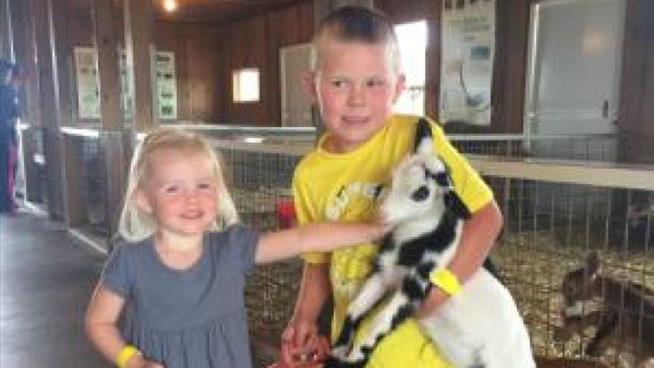 Petting Zoo Closes After Girl Contracts Fatal E. Coli Infection