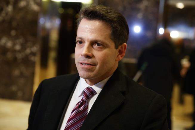 'Mooch' Will Likely Be Trump's New Communications Director