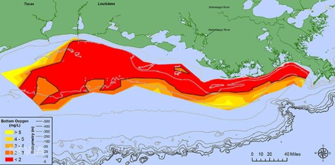 Gulf's of Mexico's Dead Zone Is Now Planet's Biggest