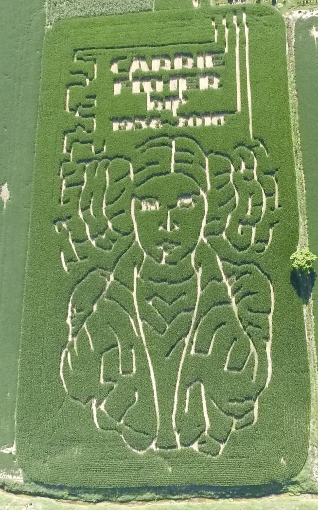 Farmer Pays Tribute to Carrie Fisher With Corn Maze