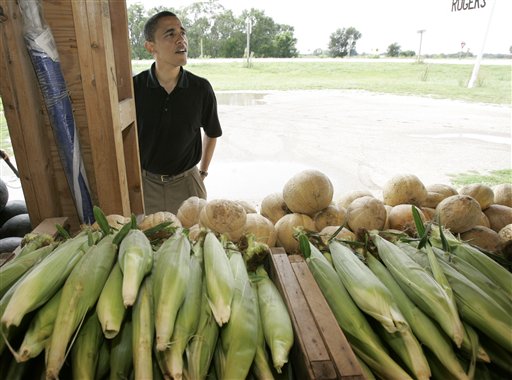 Ties to Corn Industry Shape Obama's Policy